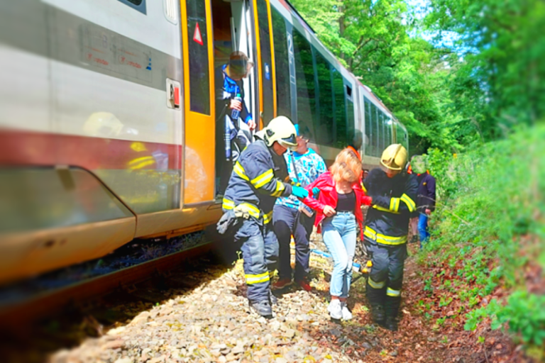 Obrázek článku Vlak v České Lípě narazil do stromu. 32 cestujících z osobního vlaku museli hasiči evakuovat