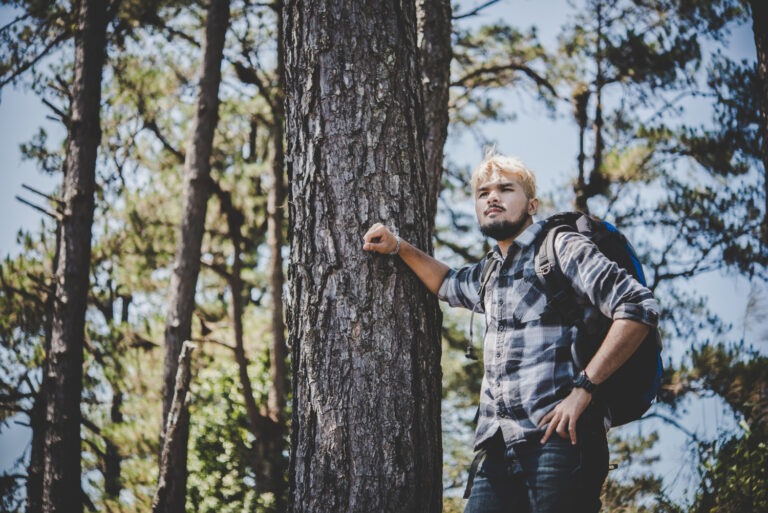 Obrázek článku Nejstarší strom na světě: má dnes 4 857 let
