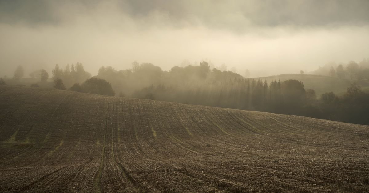 Rána v úvodu srpna mají být znatelně chladnější než v posledních týdnech, denní maxima se drží kolem 25 °C. Ilustrační foto. Zdroj: Ludvig Hedenborg / Pexels.